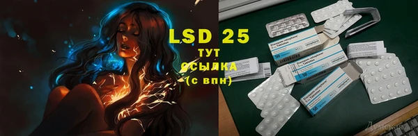 2c-b Инта