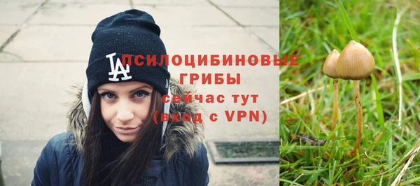 наркотики Инсар