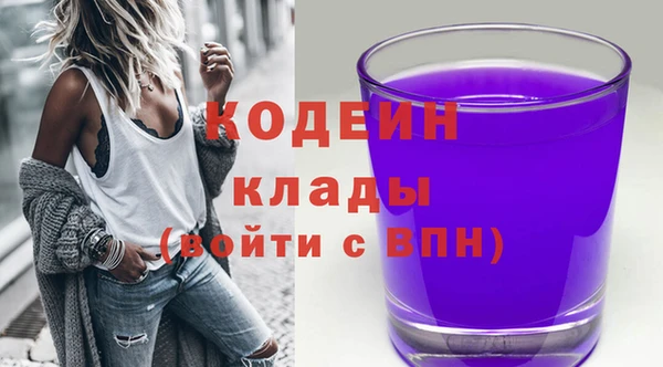 2c-b Инта